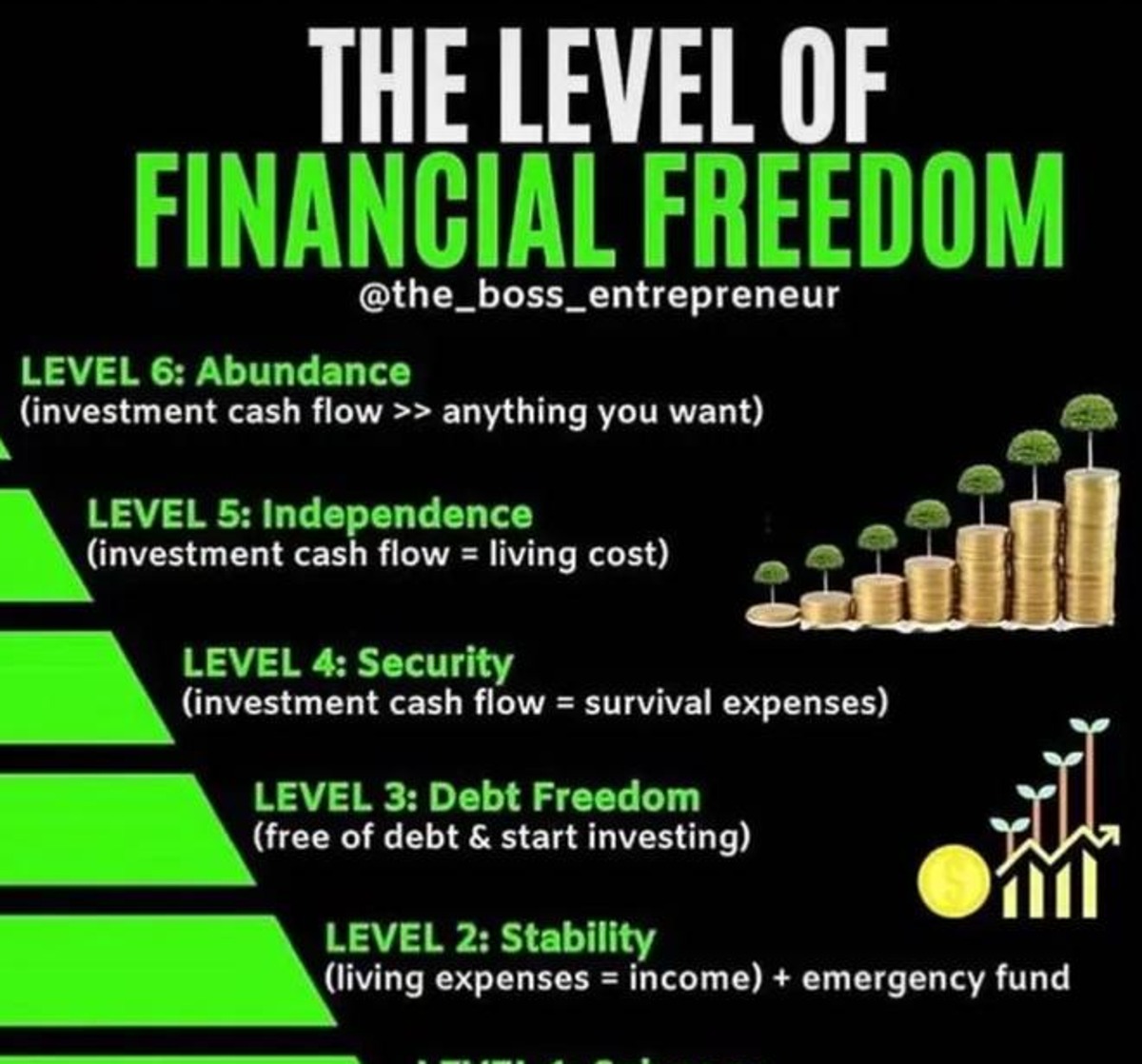 Financial freedom levels educational graphic